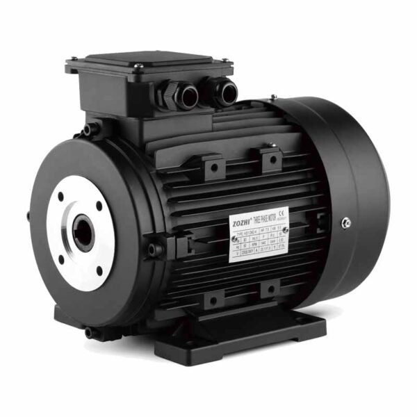 ZOZHI HS160M2-4 25hp 18.5kw hollow shaft AC motor - 图片 3