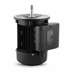 High-Efficiency asynchronous motor for pool pump MYT Series