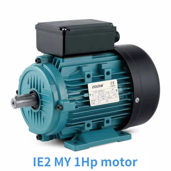 IE2MY single phase induction motor with running capacitor for pumps