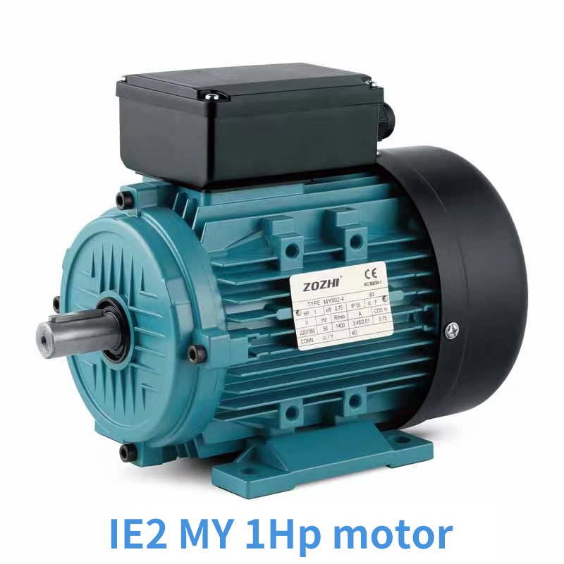 IE2MY single phase induction motor with running capacitor for pumps
